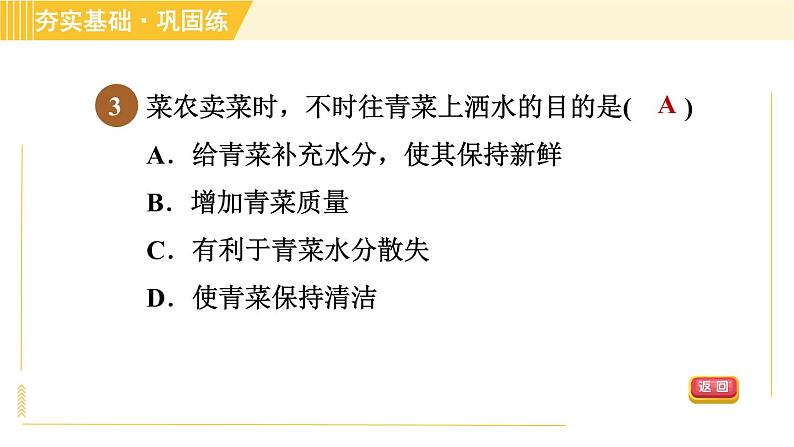 华师版B本八年级上册科学 第4章 习题课件06