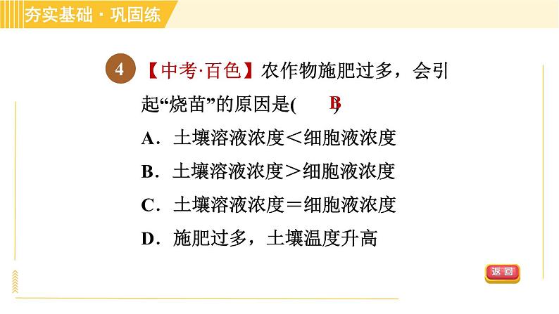 华师版B本八年级上册科学 第4章 习题课件07