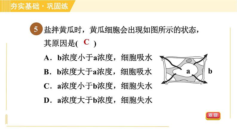 华师版B本八年级上册科学 第4章 习题课件08