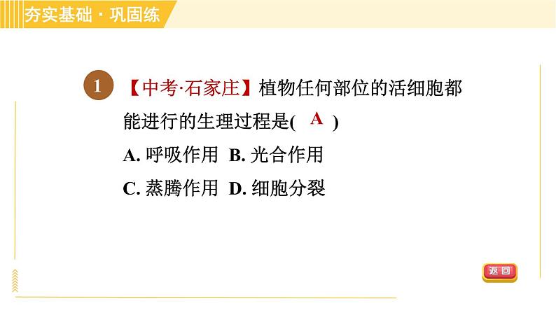 华师版八年级上册科学 第4章 习题课件04