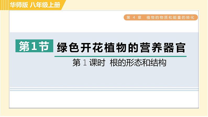 华师版八年级上册科学 第4章 习题课件01