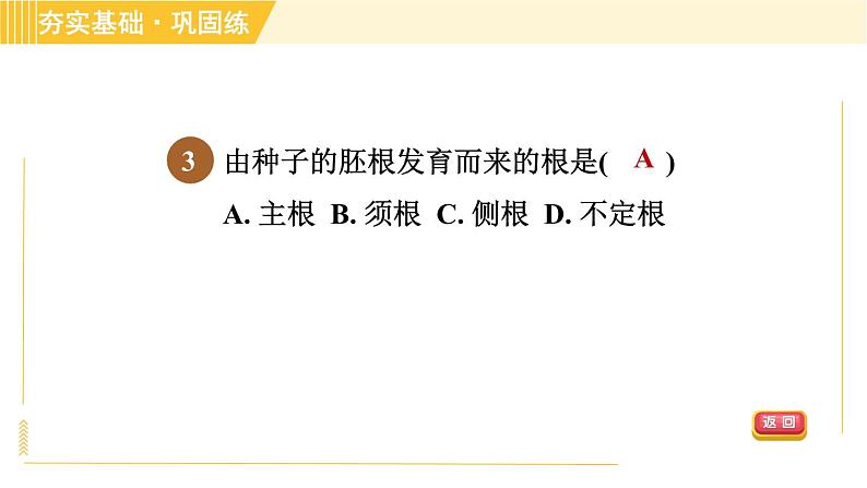 华师版八年级上册科学 第4章 习题课件06