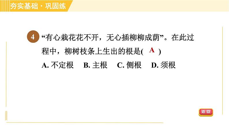 华师版八年级上册科学 第4章 习题课件07