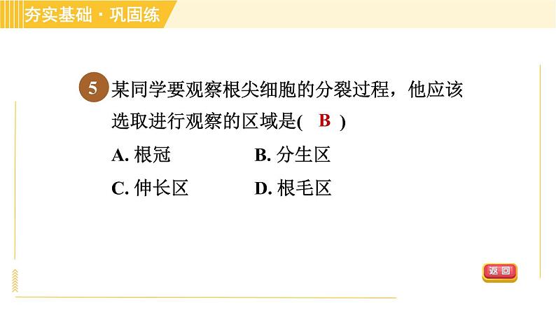 华师版八年级上册科学 第4章 习题课件08