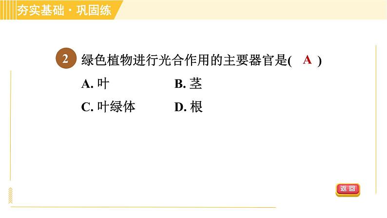 华师版八年级上册科学 第4章 习题课件05