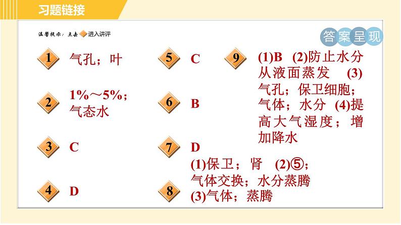 华师版八年级上册科学 第4章 习题课件02