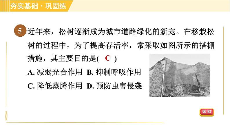 华师版八年级上册科学 第4章 习题课件08