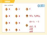 华师版八年级上册科学 第6章 习题课件