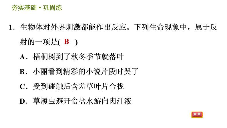 华师版八年级下册科学 第7章 习题课件04