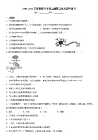 科学八年级上册第3章  浮力综合与测试课后练习题