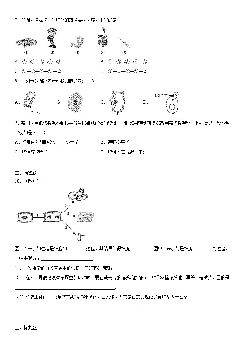 2020-2021学年华师大版科学七年级上册第四单元 提升练习02