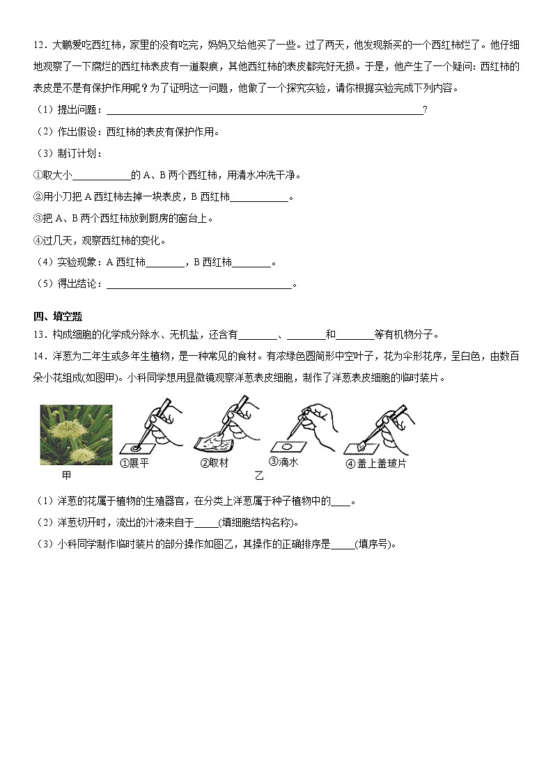 2020-2021学年华师大版科学七年级上册第四单元 提升练习03