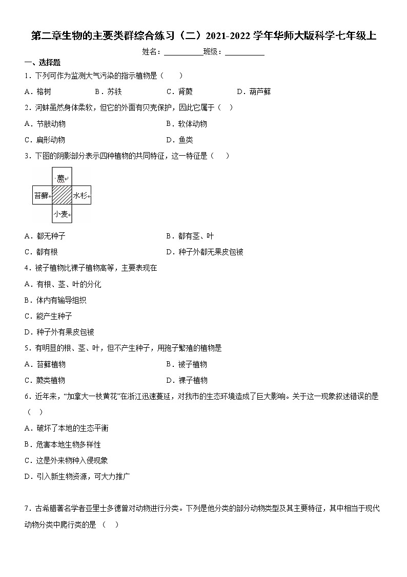 第二章生物的主要类群综合练习（二）2021-2022学年华师大版科学七年级上第1页