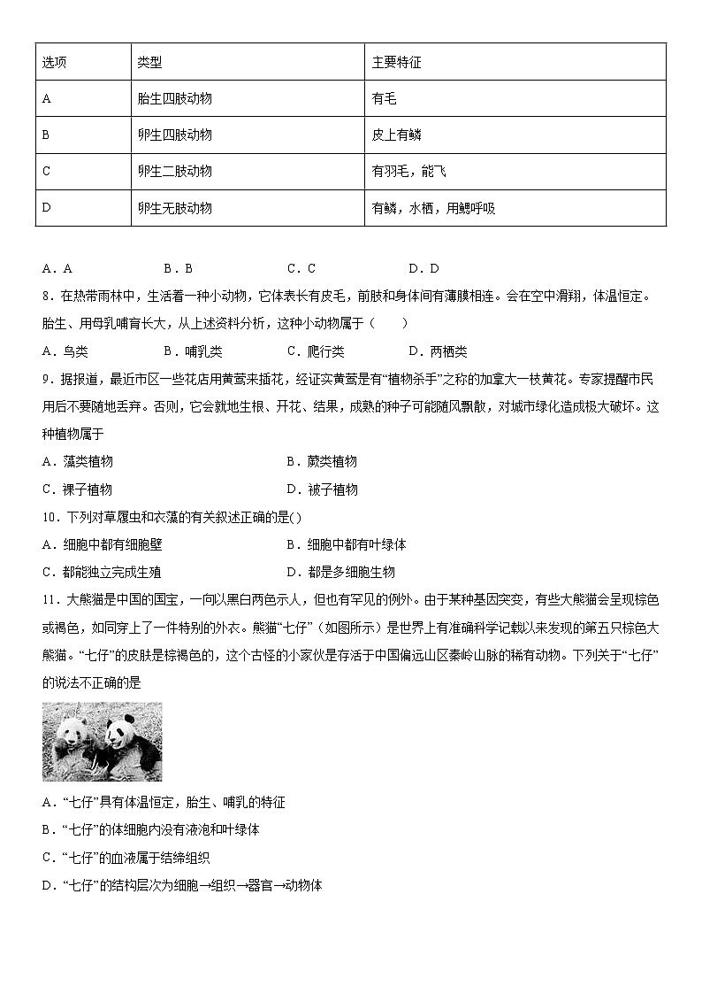 第二章生物的主要类群综合练习（二）2021-2022学年华师大版科学七年级上第2页