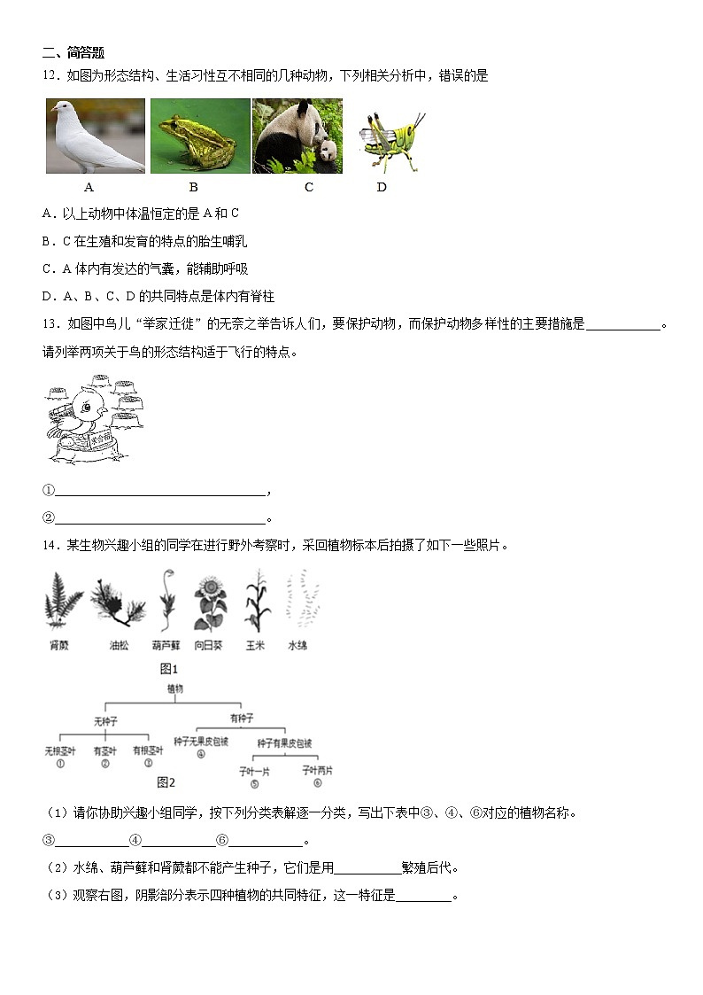 第二章生物的主要类群综合练习（二）2021-2022学年华师大版科学七年级上第3页