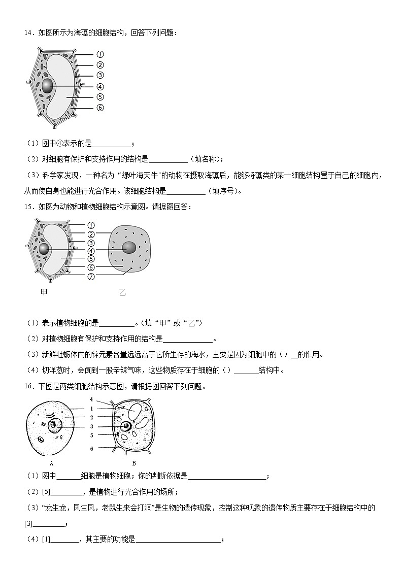 走进科学单元练习（一）2021-2022学年华师大版科学七年级上03