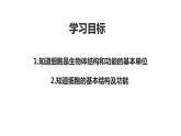 2.2细胞第一课时课件---2021—2022学年浙教版七上科学