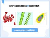 2.2细胞第一课时课件---2021—2022学年浙教版七上科学