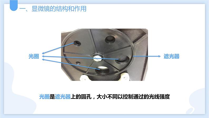 2.2细胞第二课时课件---2021—2022学年浙教版七上科学07