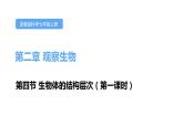 2.3生物体的结构层次第一课时课件---2021—2022学年浙教版七上科学