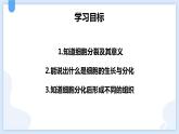 2.3生物体的结构层次第一课时课件---2021—2022学年浙教版七上科学