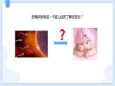 2.3生物体的结构层次第一课时课件---2021—2022学年浙教版七上科学