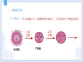 2.3生物体的结构层次第一课时课件---2021—2022学年浙教版七上科学