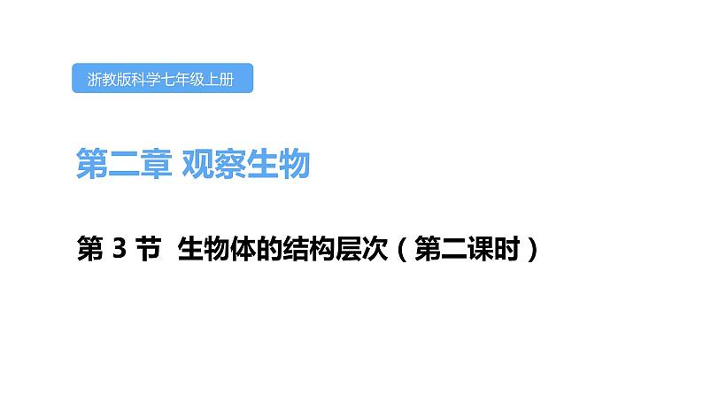 2.3生物体的结构层次第二课时课件---2021—2022学年浙教版七上科学01