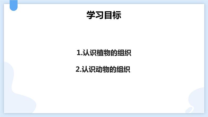 2.3生物体的结构层次第二课时课件---2021—2022学年浙教版七上科学02