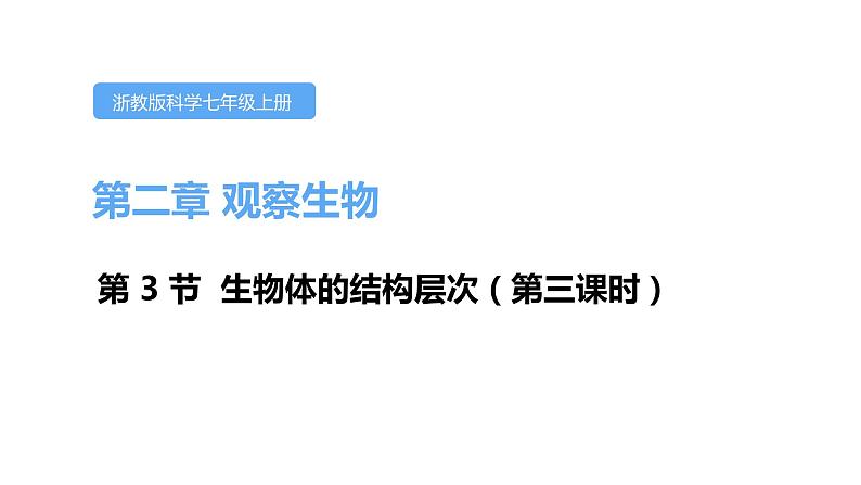 2.3生物体的结构层次第三课时课件---2021—2022学年浙教版七上科学第1页