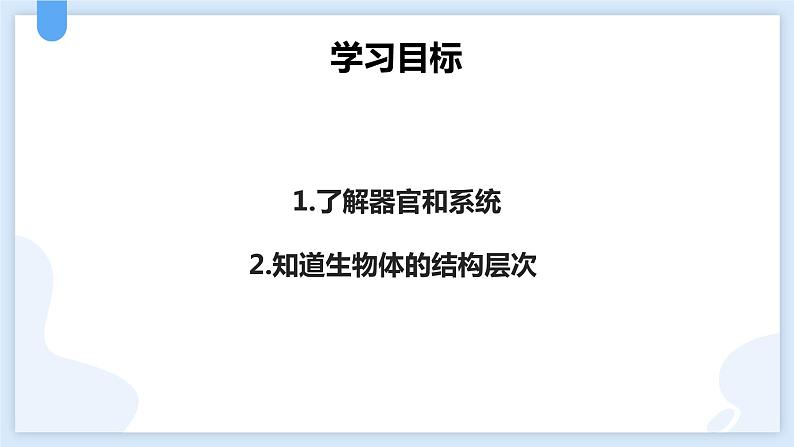 2.3生物体的结构层次第三课时课件---2021—2022学年浙教版七上科学第2页