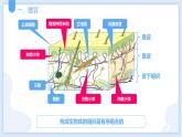 2.3生物体的结构层次第三课时课件---2021—2022学年浙教版七上科学