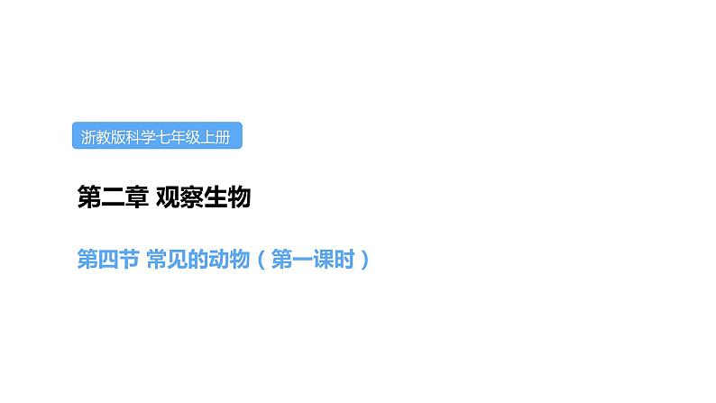 2.4常见的动物第一课时课件---2021—2022学年浙教版七上科学01