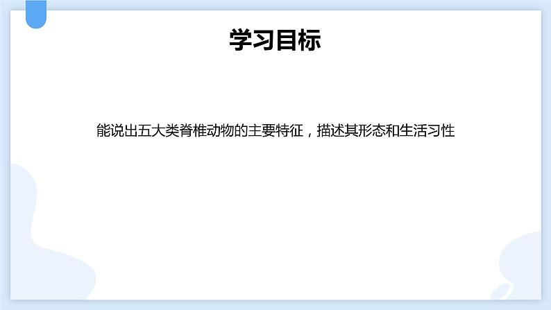 2.4常见的动物第二课时课件---2021—2022学年浙教版七上科学02