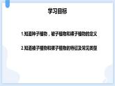 2.5常见的植物第一课时课件---2021—2022学年浙教版七上科学