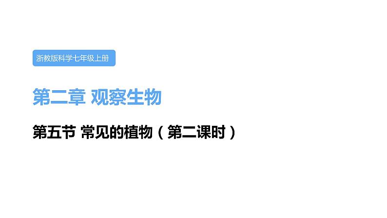 2.5常见的植物第二课时课件---2021—2022学年浙教版七上科学第1页