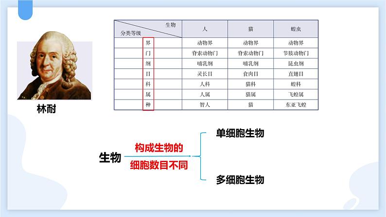 2.6物种的多样性第一课时课件---2021—2022学年浙教版七上科学04