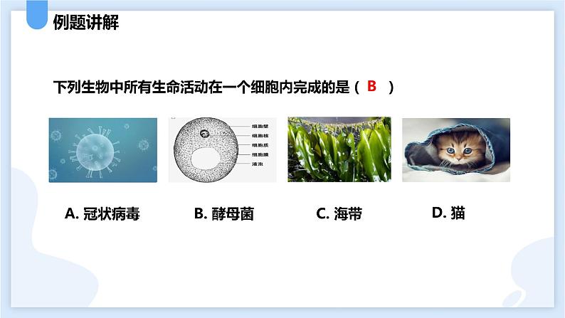 2.6物种的多样性第一课时课件---2021—2022学年浙教版七上科学08