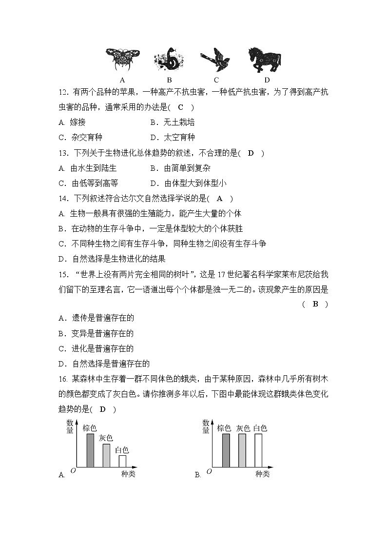 备战2022 中考科学 一轮复习 第2部分 第11讲　遗传与进化—巩固练习（教师版）第3页