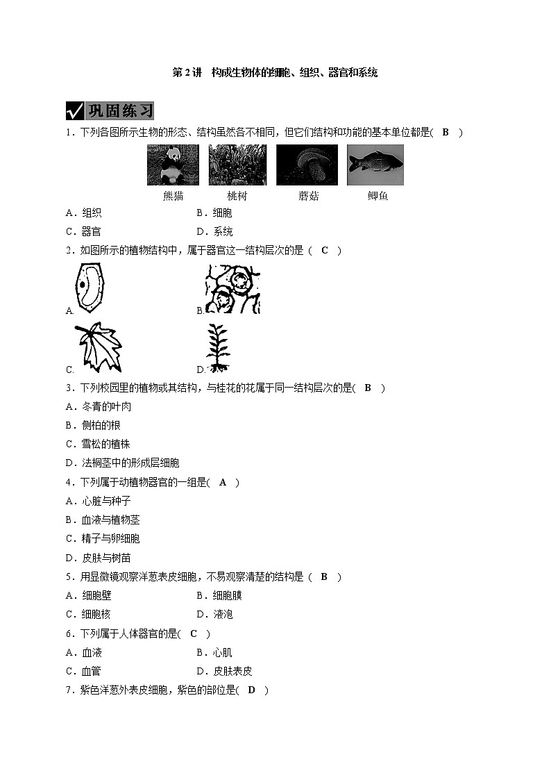 备战2022 中考科学 一轮复习 第2部分 第2讲　构成生物体的细胞、组织、器官和系统 同步练习01