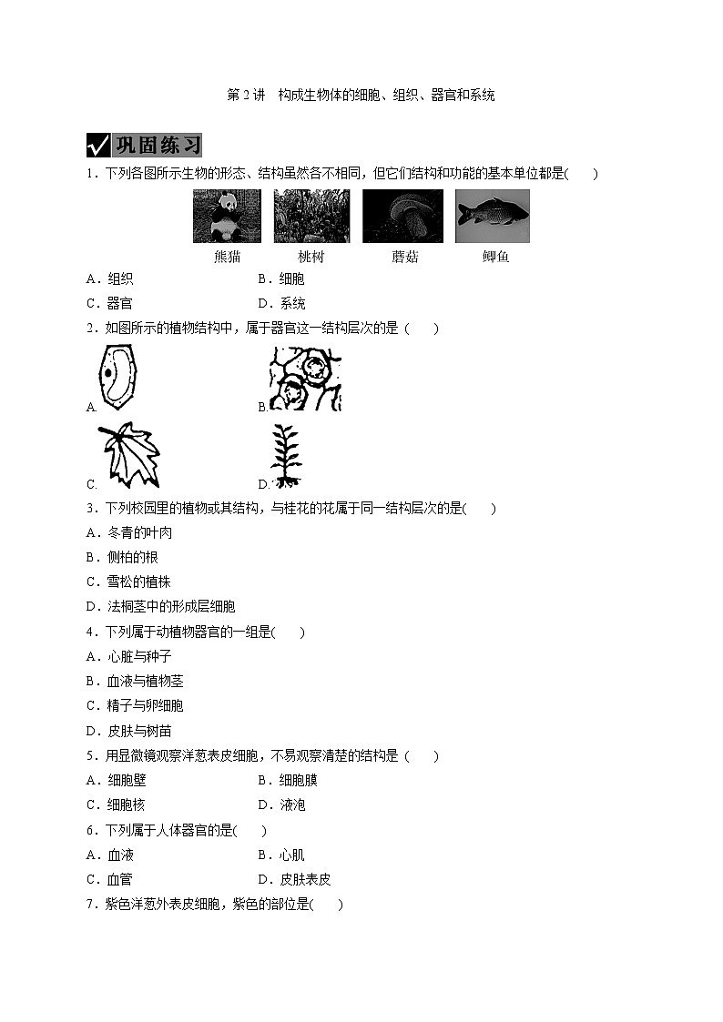 备战2022 中考科学 一轮复习 第2部分 第2讲　构成生物体的细胞、组织、器官和系统 同步练习01