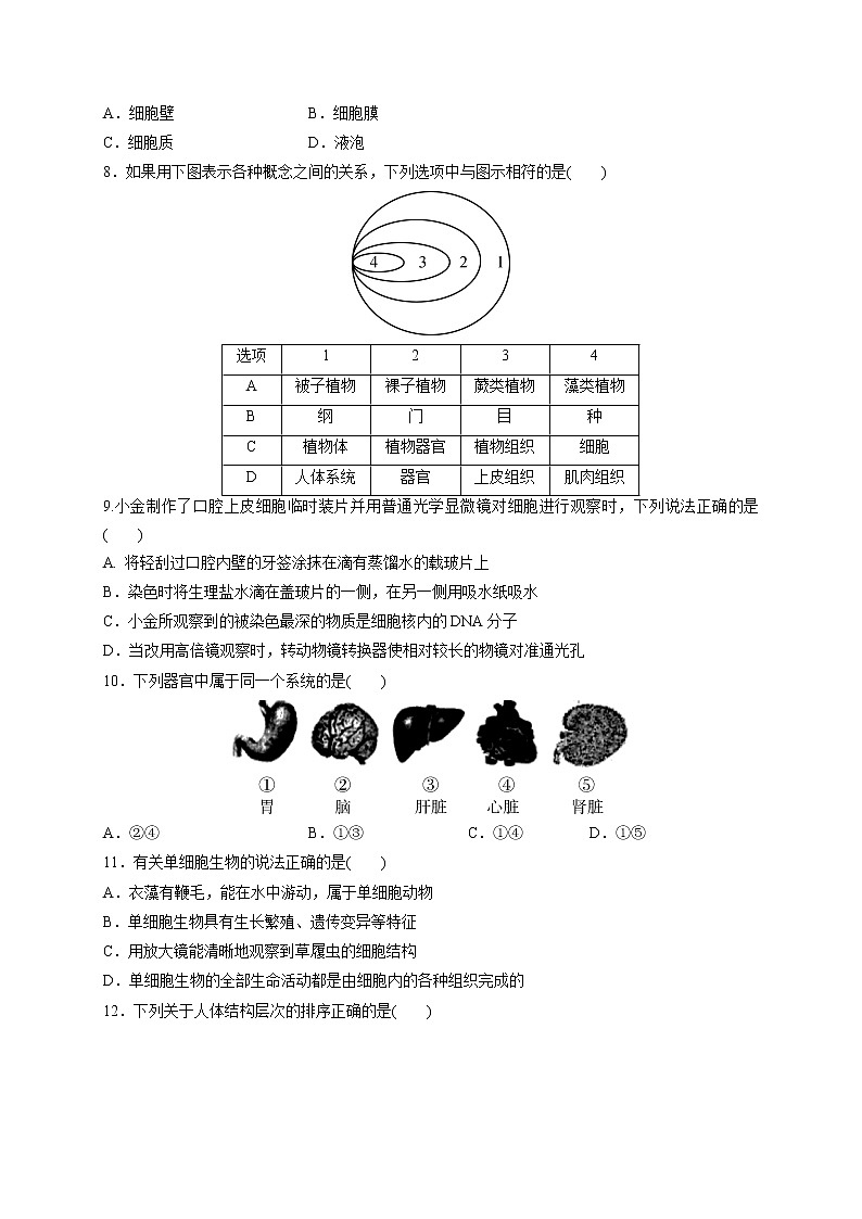 备战2022 中考科学 一轮复习 第2部分 第2讲　构成生物体的细胞、组织、器官和系统 同步练习02