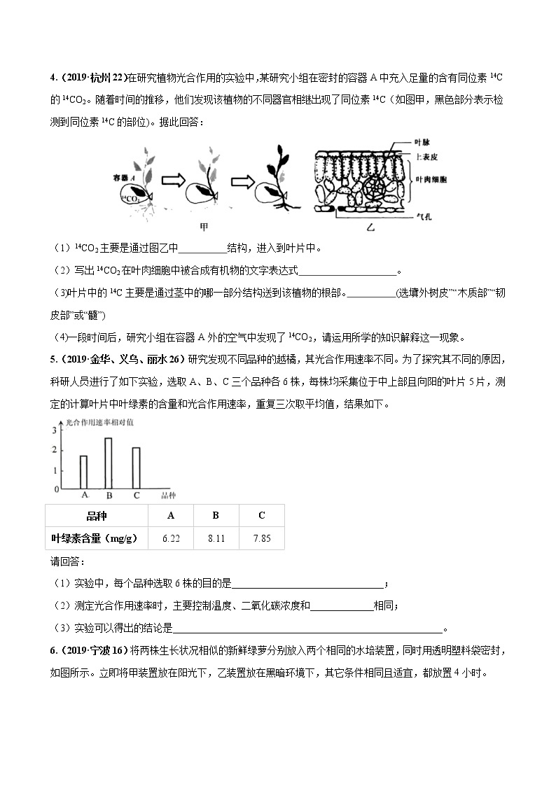 备战2022 中考科学 重难点练习 专题1.3 绿色植物的新陈代谢02