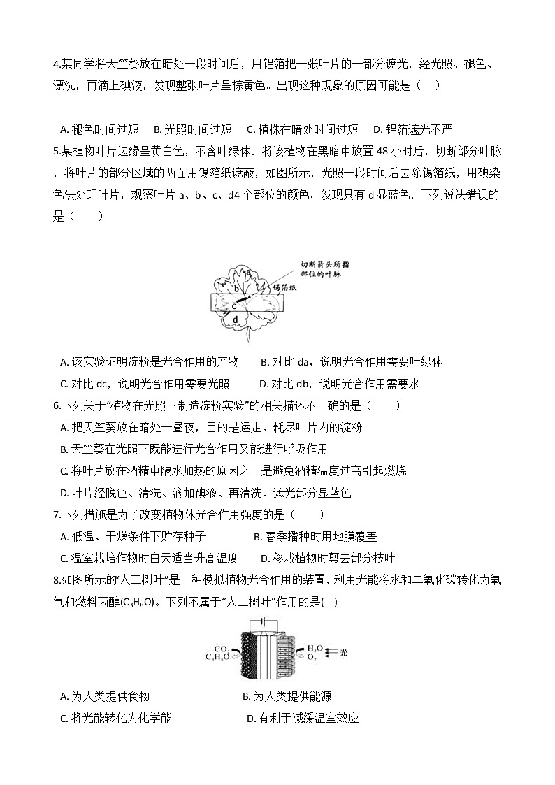 第10讲 光合作用  备战2022 浙教版科学 中考高频考点 加强练第2页
