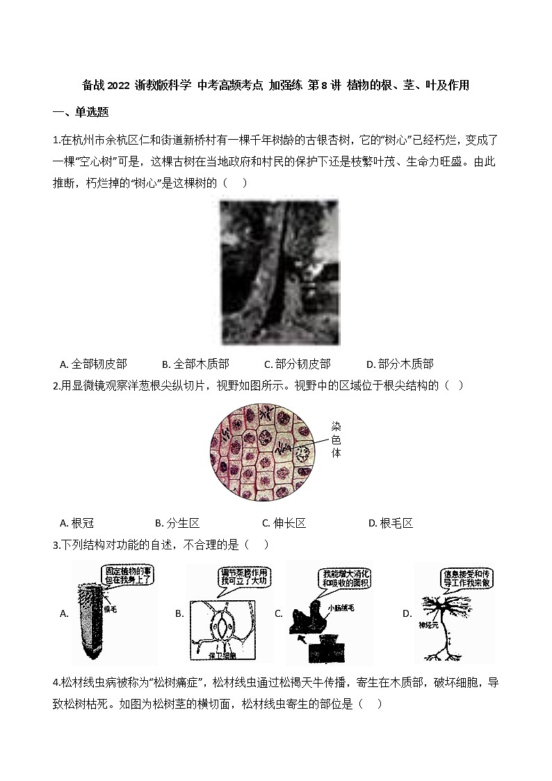 第8讲 植物的根、茎、叶及作用  备战2022 浙教版科学 中考高频考点 加强练第1页
