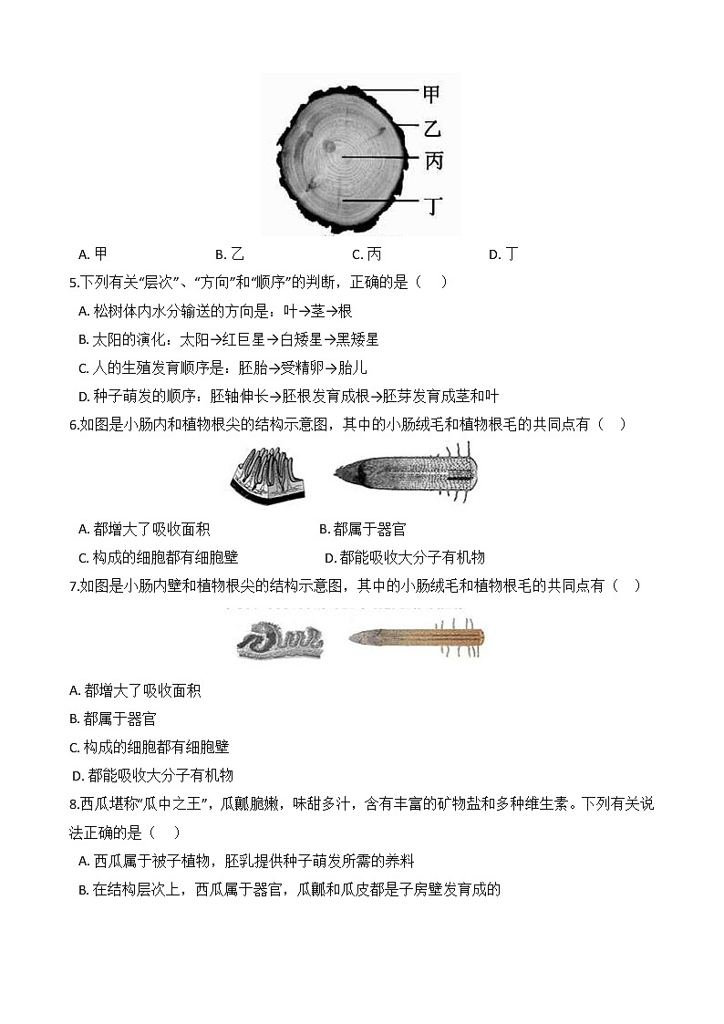 第8讲 植物的根、茎、叶及作用  备战2022 浙教版科学 中考高频考点 加强练第2页
