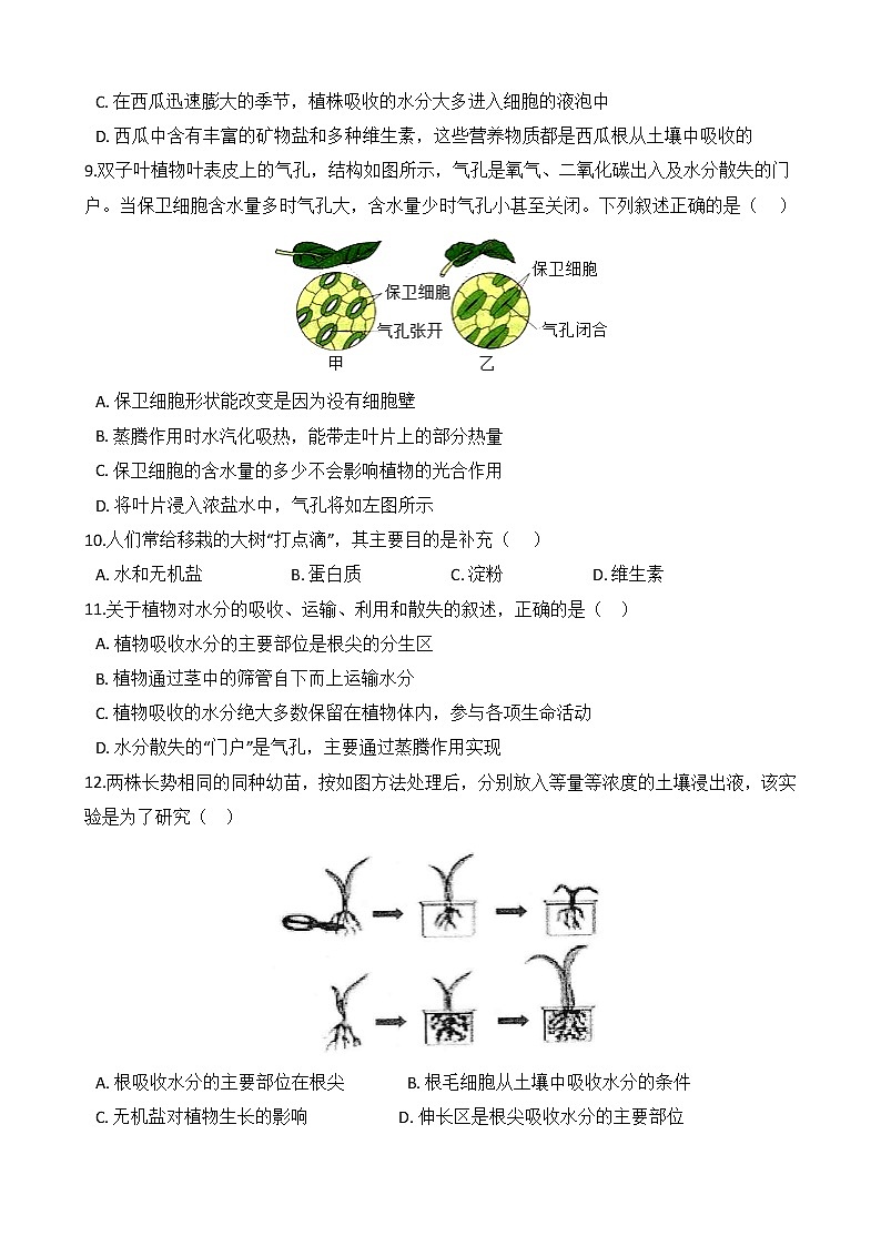 第8讲 植物的根、茎、叶及作用  备战2022 浙教版科学 中考高频考点 加强练第3页