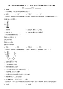 华师大版八年级上册第2章  压力  压强综合与测试课时训练