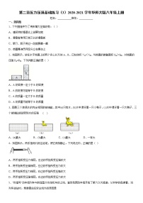 初中科学华师大版八年级上册第2章  压力  压强综合与测试精练