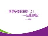 1.1  艳丽多姿的生物（二）—华师大版科学七年级上册课件